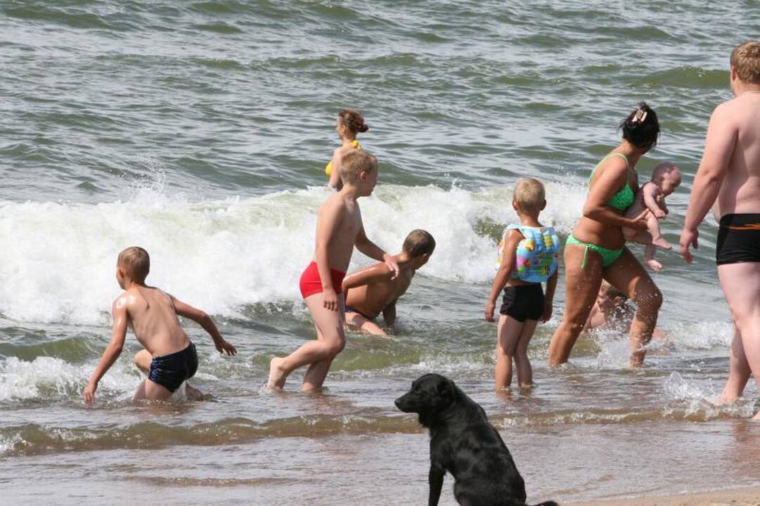 Gyvūnų mylėtojai vėl prašys pajūryje įrengti šunų pliažą