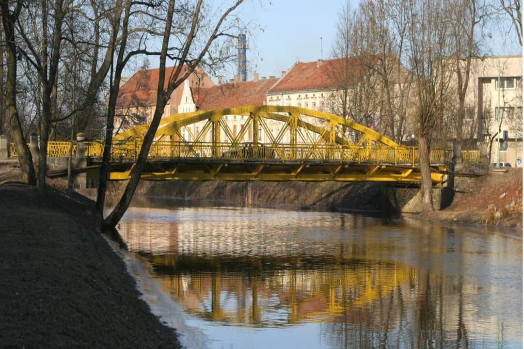 Šilutėje plinta iniciatyva steigti saugios kaimynystės grupes