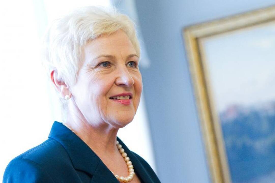 I.Degutienė: Vyriausybė apie VAE aiškina nepakankamai