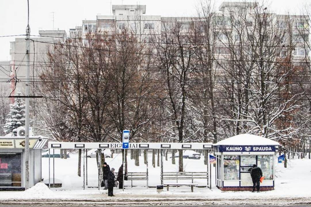 Kaune keisis viešojo transporto stotelių veidas 