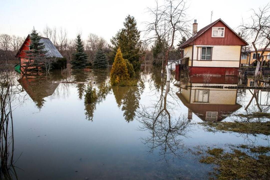 Pralaužęs pylimą Kauno rajone Nevėžis užliejo sodybas