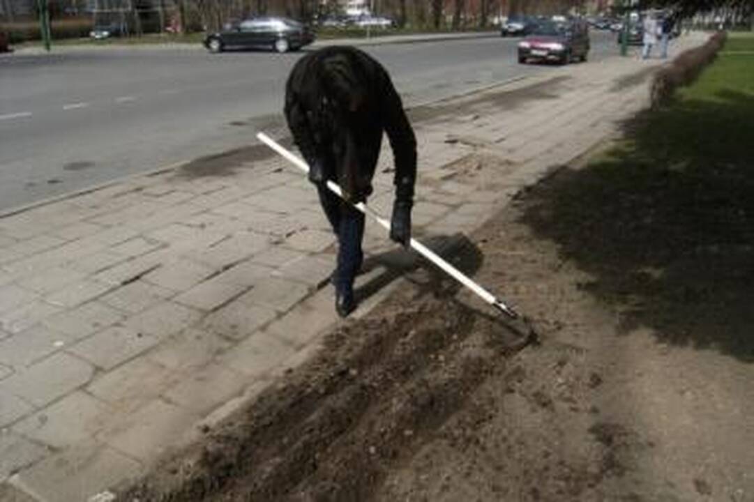 Vaikų namų auklėtiniai laukia ekologiškų gėrybių derliaus