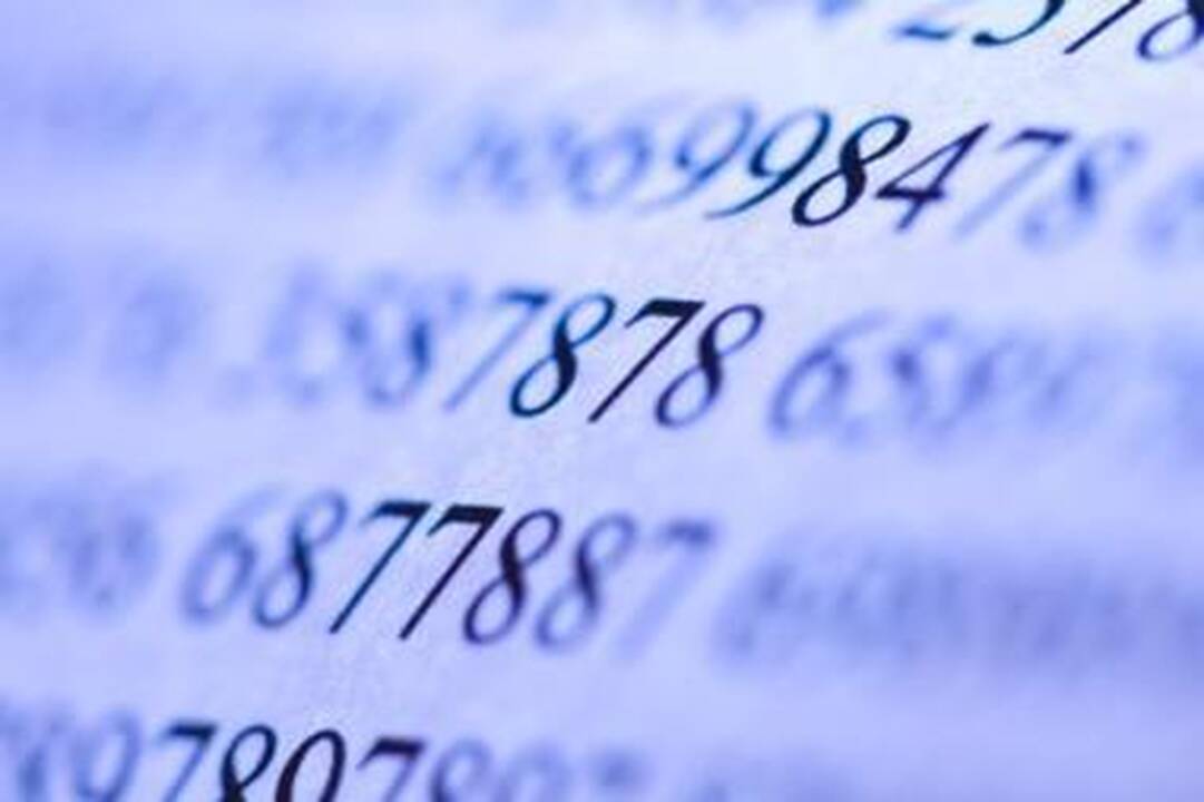 VMI išaiškino Alytaus bendrovę, bandžiusią padėti Lenkijos įmonėms grobti milijonus