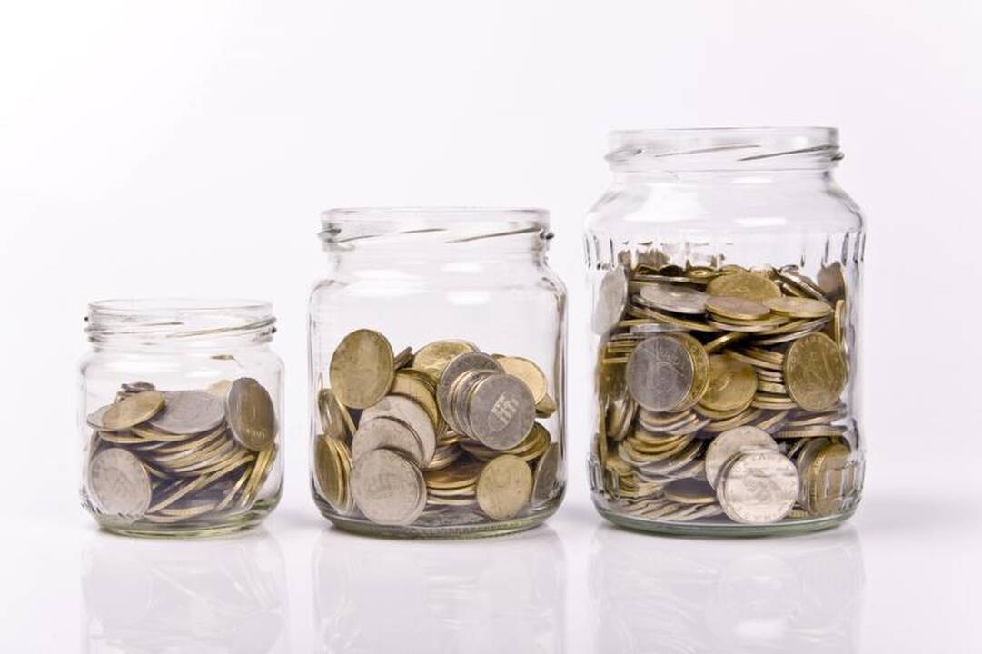 Parlamentinei veiklai skirtos lėšos iki dugno semtos ir vasarą