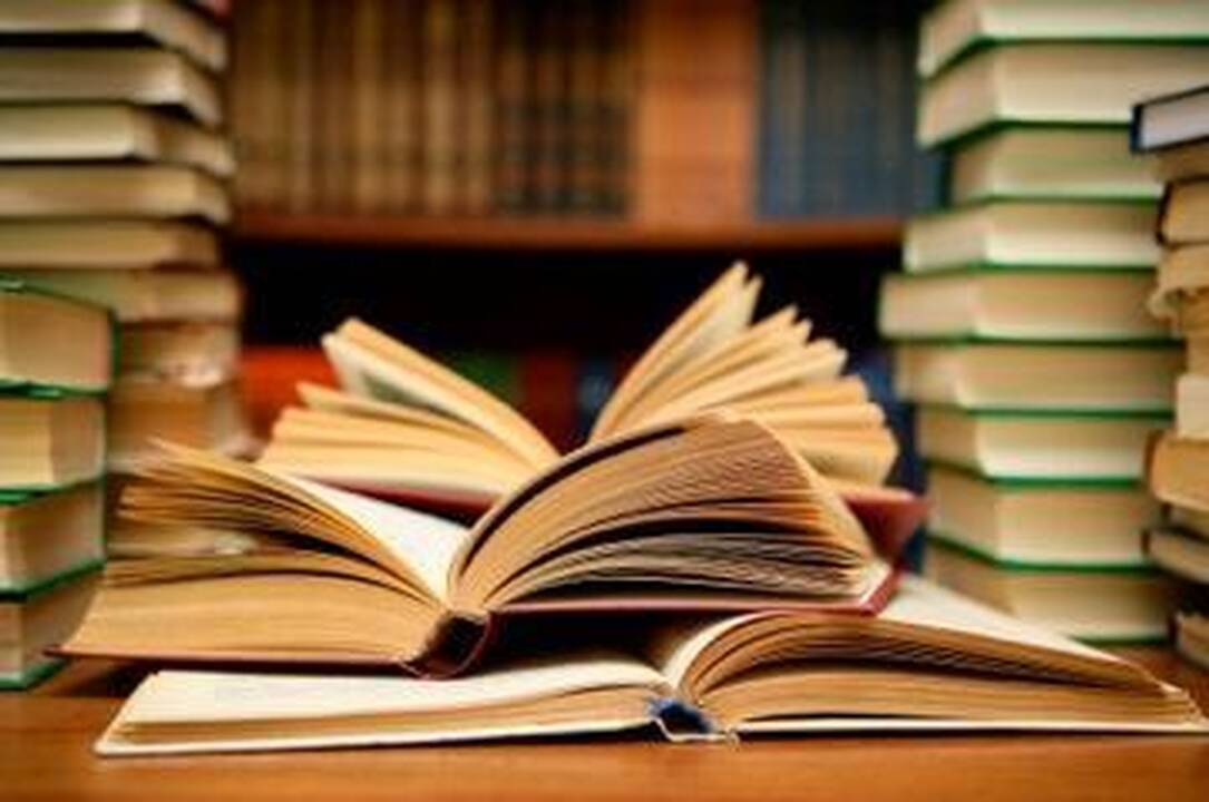 Kūrybiškiausių knygų dvyliktuke - poezijos ir prozos knygos