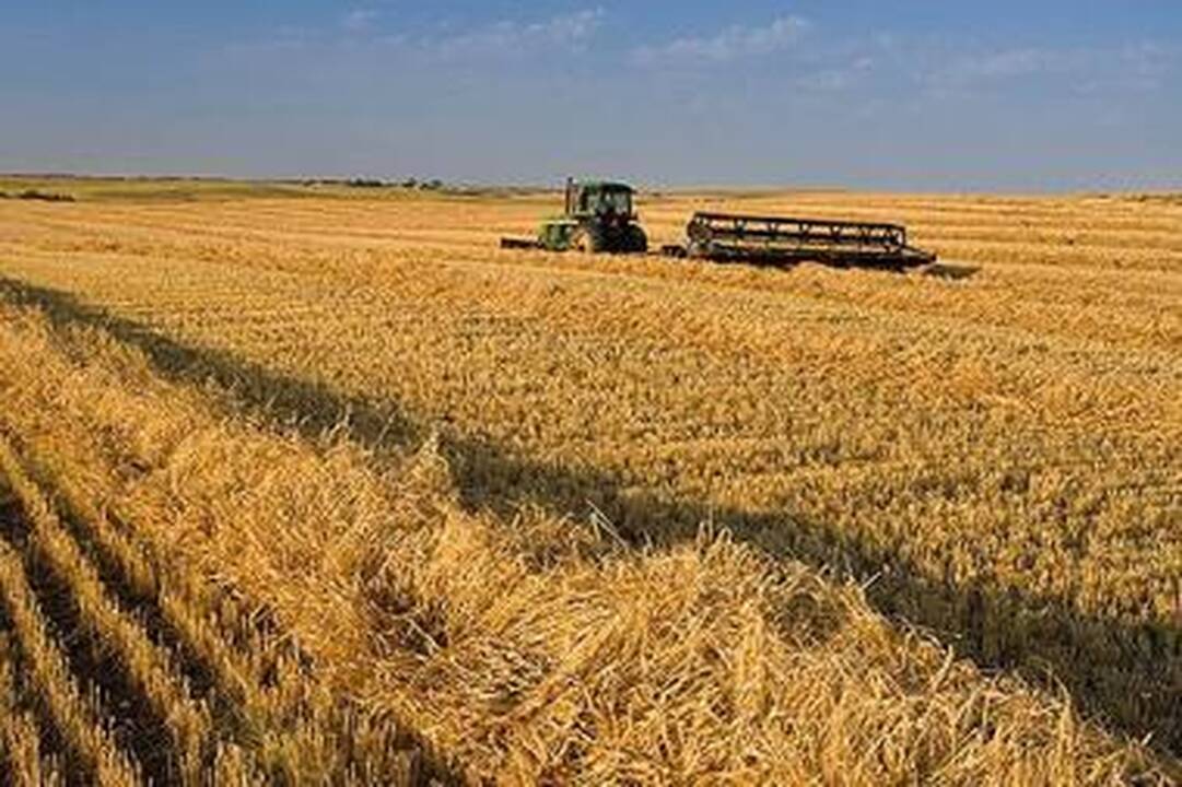 Vyresniems ūkininkams jau išmokėta 2 mln. litų