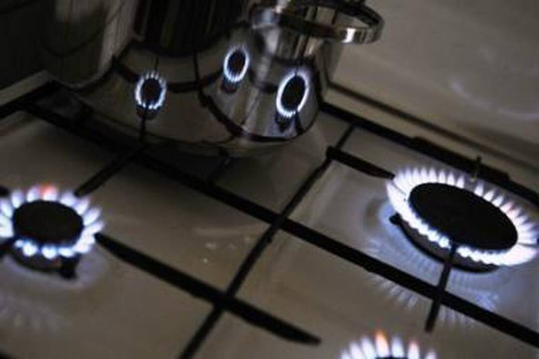 Kitąmet dujų kaina tikriausiai beveik neaugs