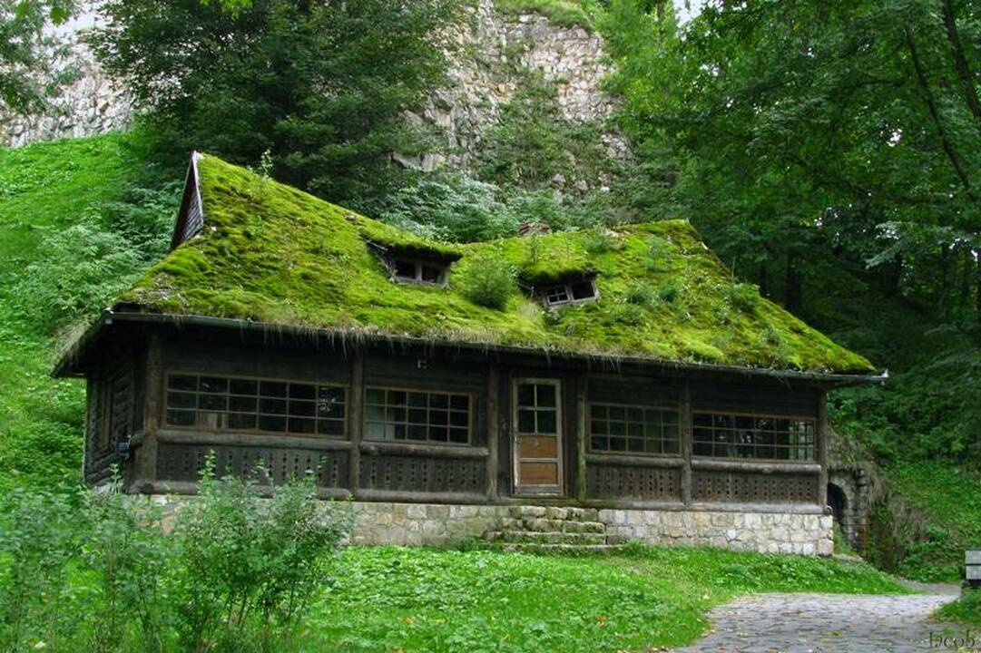 Ekologiškas būstas - iš medžio, molio, stiklo ir betono