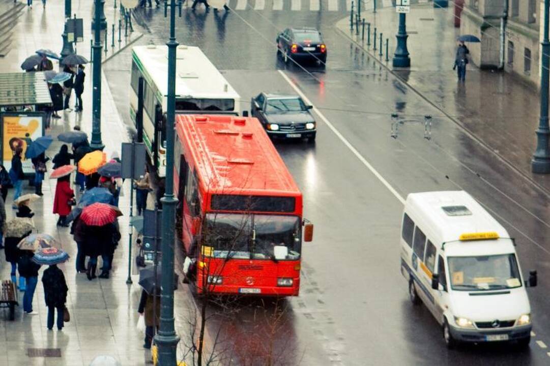 Vilniuje neliks populiarių mikriukų maršrutų