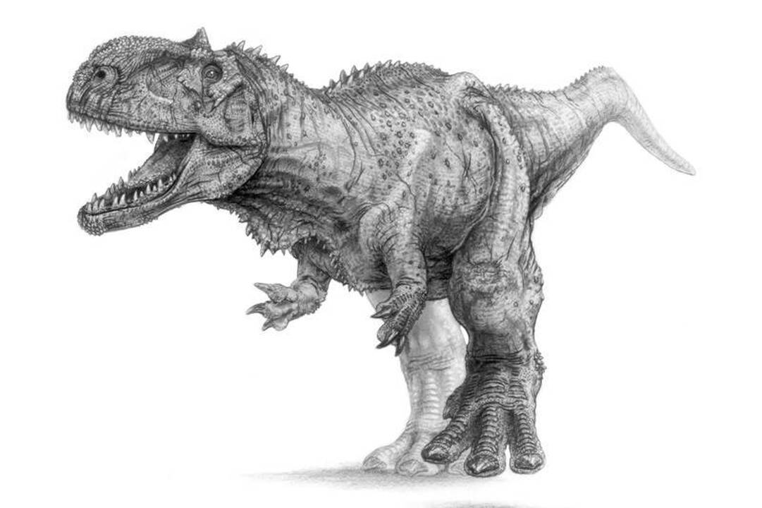 Dinozaurus Žemėje išnaikino ne vienas, o net du asteroidai?