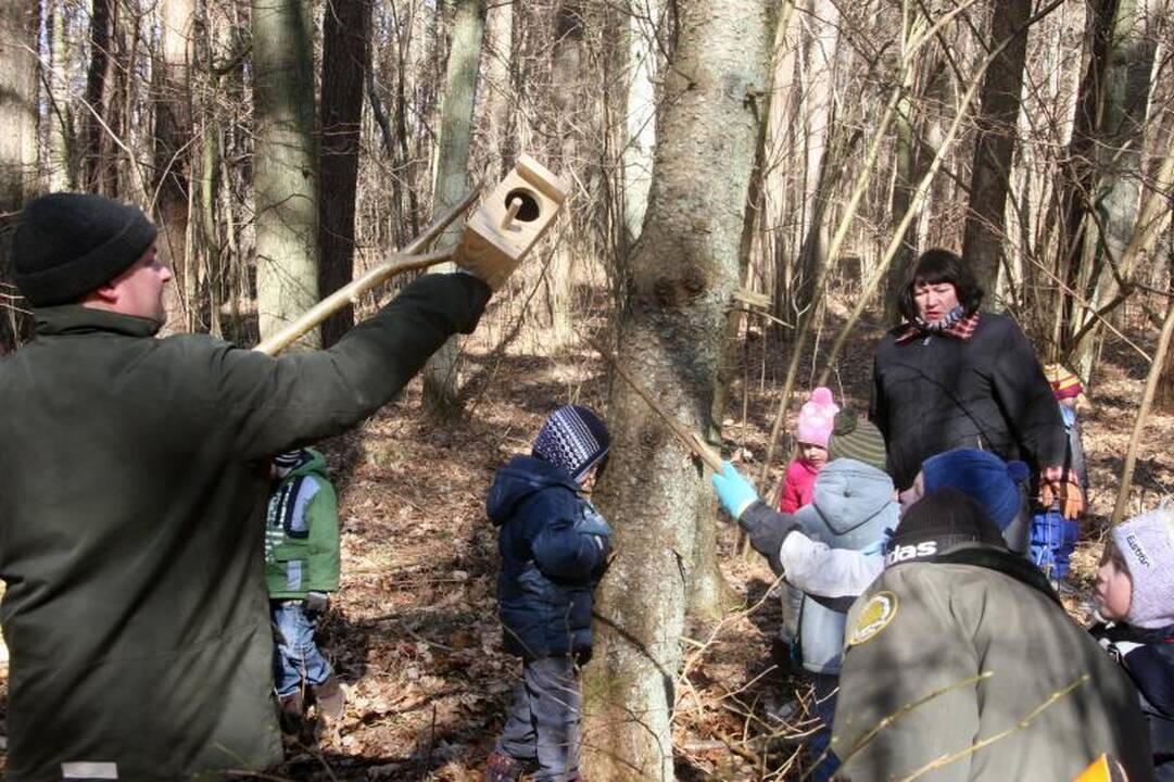 Darželinukai Šernų miške  kėlė  inkilus 
