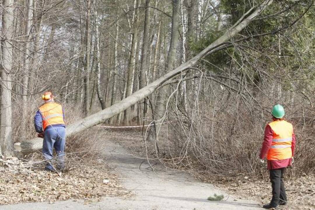 Tapusi "supermiestu", Klaipėda prisidės prie Poilsio parko kūrimo