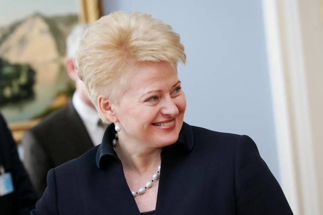 Prezidentė palaiko ir A.Sekmoką, ir A.Kubilių (papildyta)