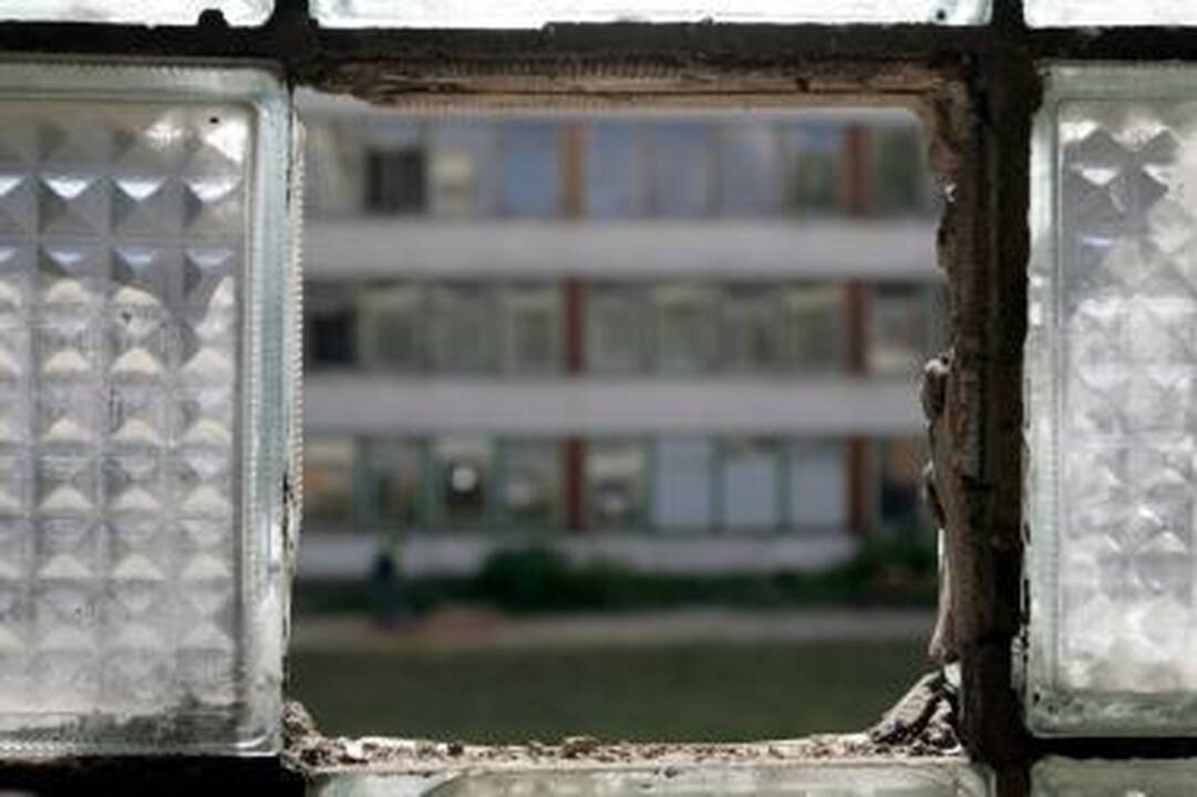 Sulaikytas bibliotekininkę sumušęs jaunuolis (papildyta)