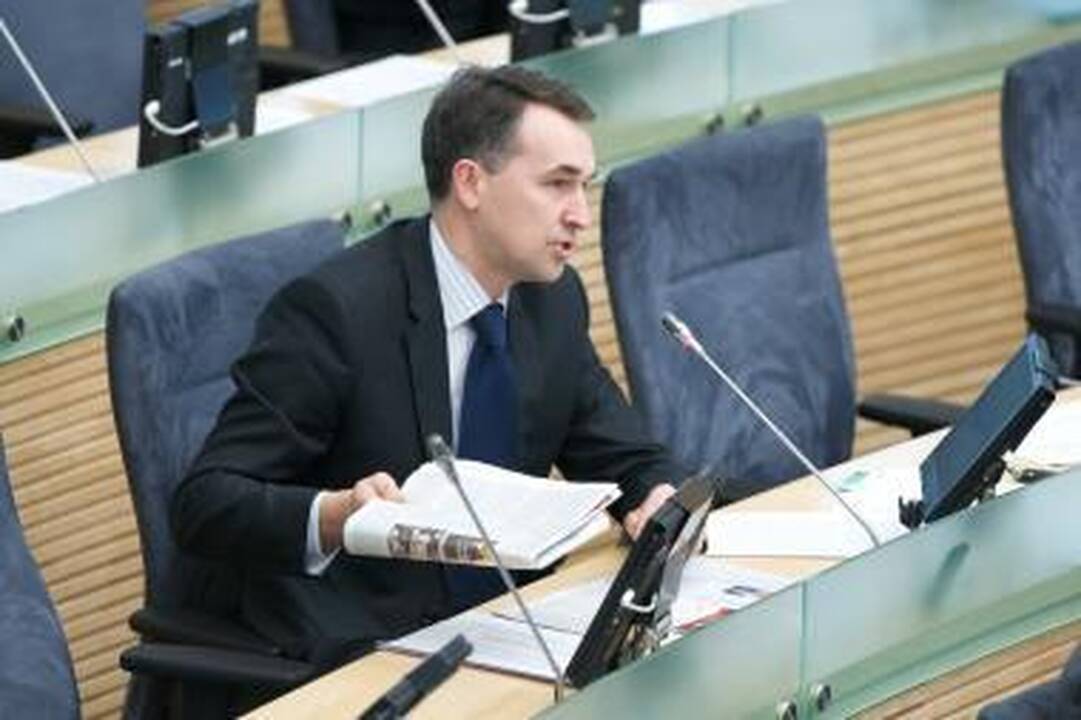 P.Auštrevičius problemas pasienyje sieja su rusų politikų noru „pamokyti Lietuvą“