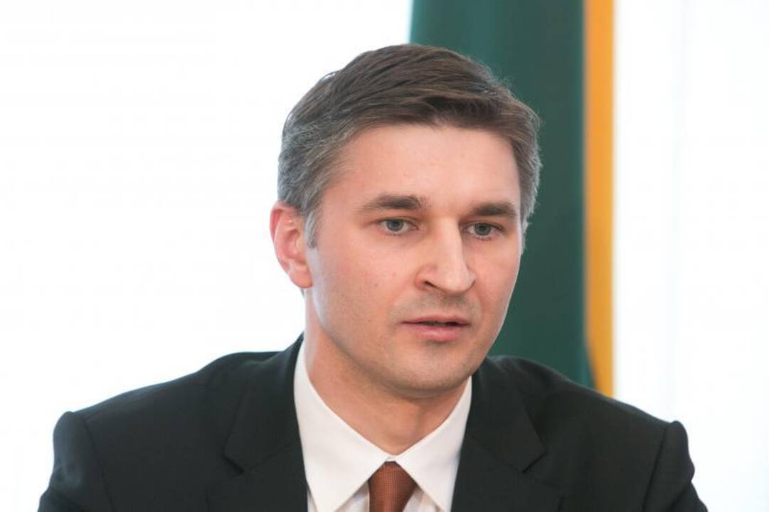 J. Neverovičius: Lietuva viena naujos atominės elektrinės nestatys