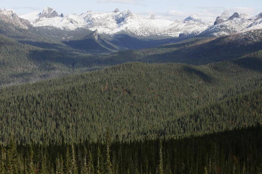 Šveicarijos Alpėse žuvo penki alpinistai iš užsienio 