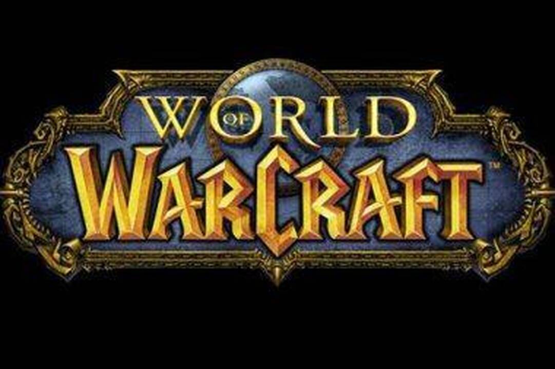 Kalifornietis "Blizzard" padavė į teismą už "per lėtą žaidimą"