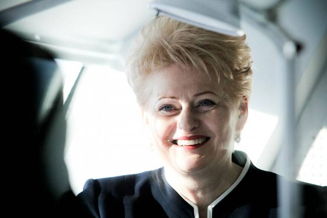 Apklausa: D. Grybauskaitė turėtų kandidatuoti antrai kadencijai
