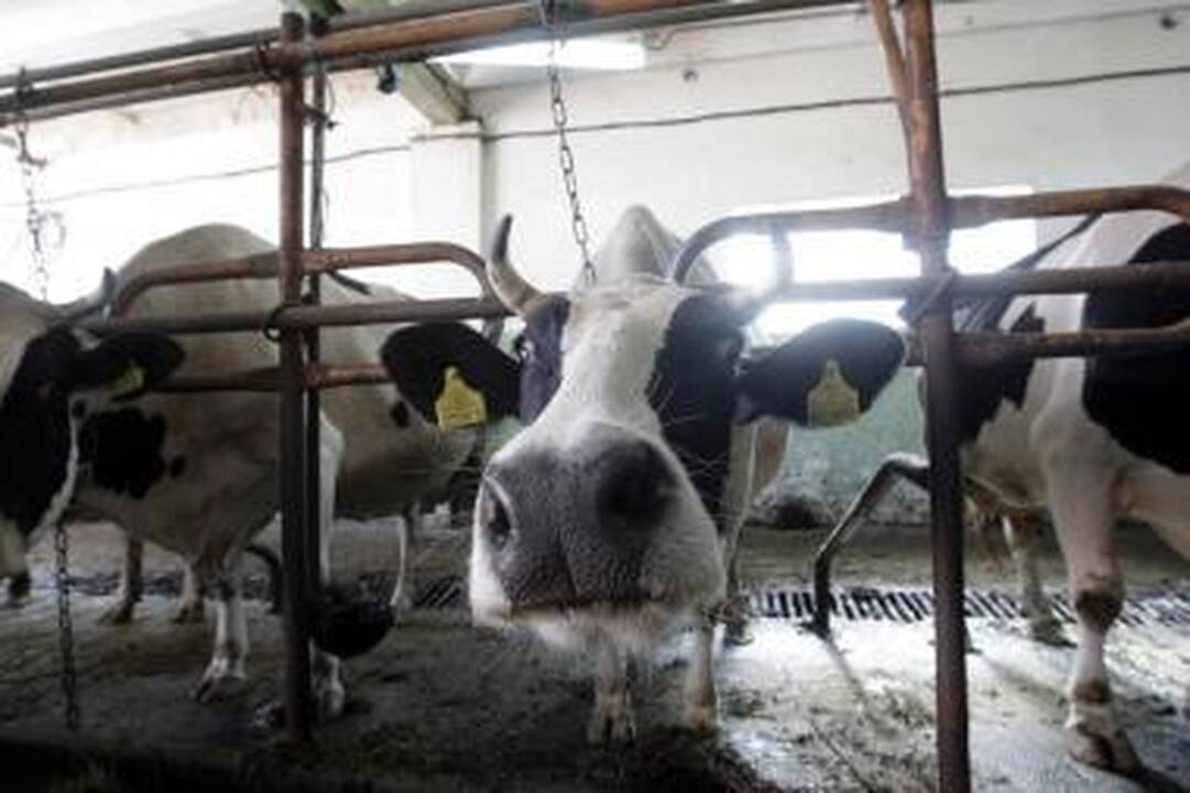 „Agrowill Group" išpirko jau trečiąją obligacijų emisiją