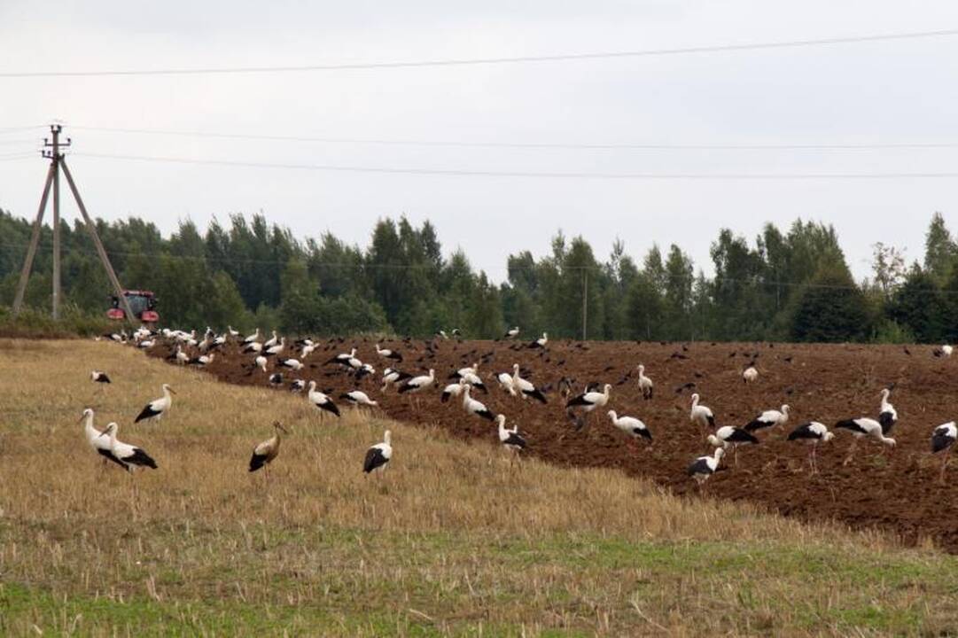 Kelionė po Aukštaitijos perlą - Sartų regioninį parką