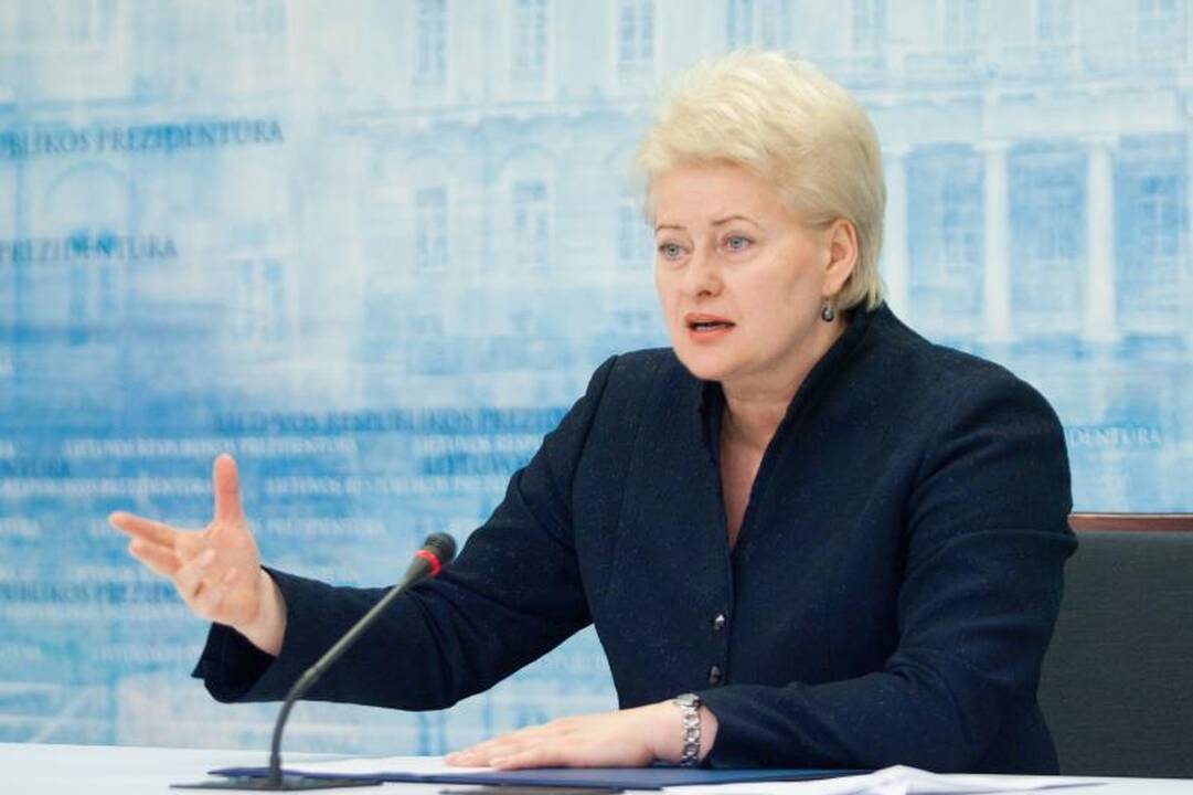 Prezidentė: būtina gerinti koordinavimą tarp valstybės institucijų