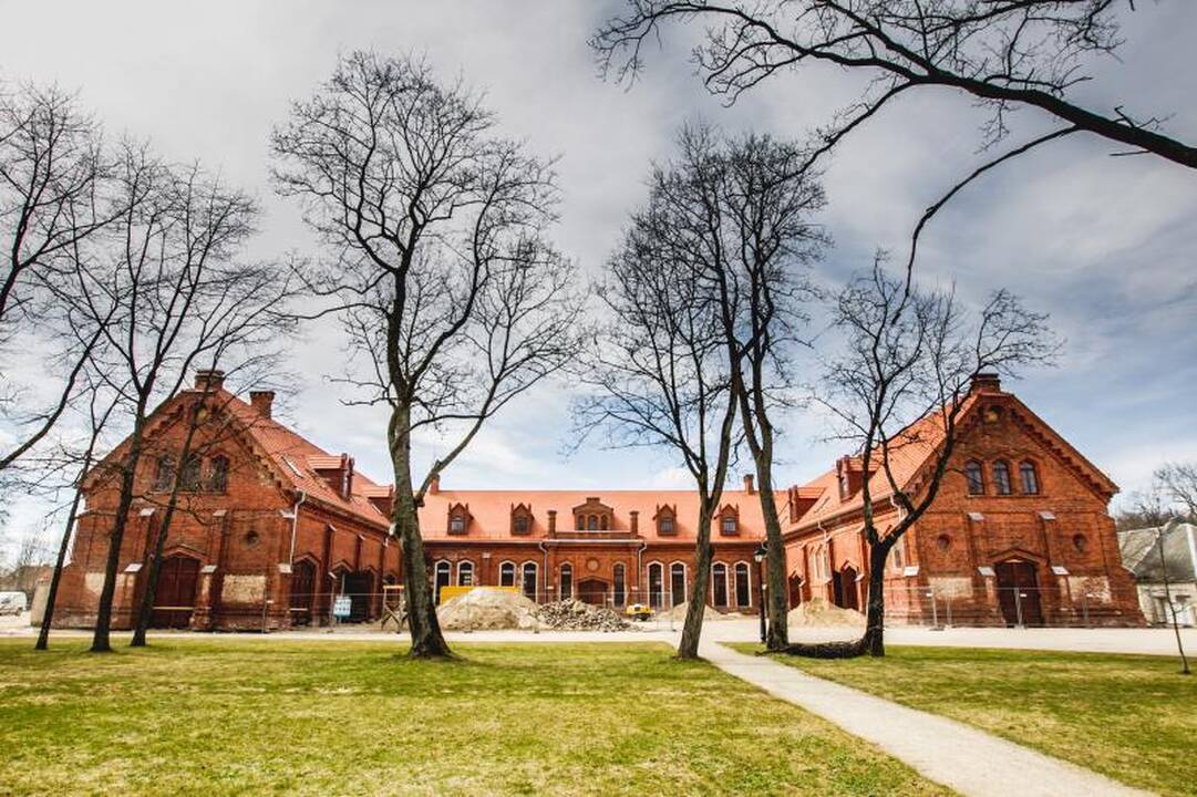 Žmonės protestavo prieš olandų atrakcionus (papildyta)