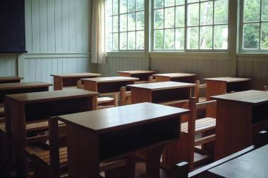 Pamokų lankomumo kreivė šokinėja   