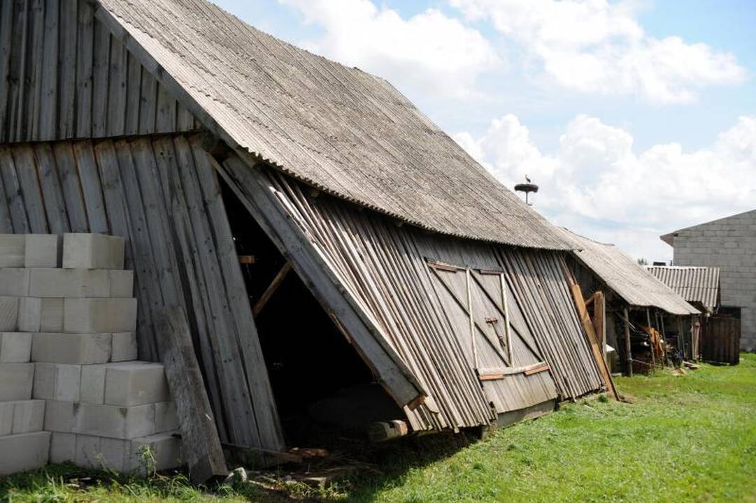 Šalčininkuose vėtra apsėmė kelius, vertė medžius