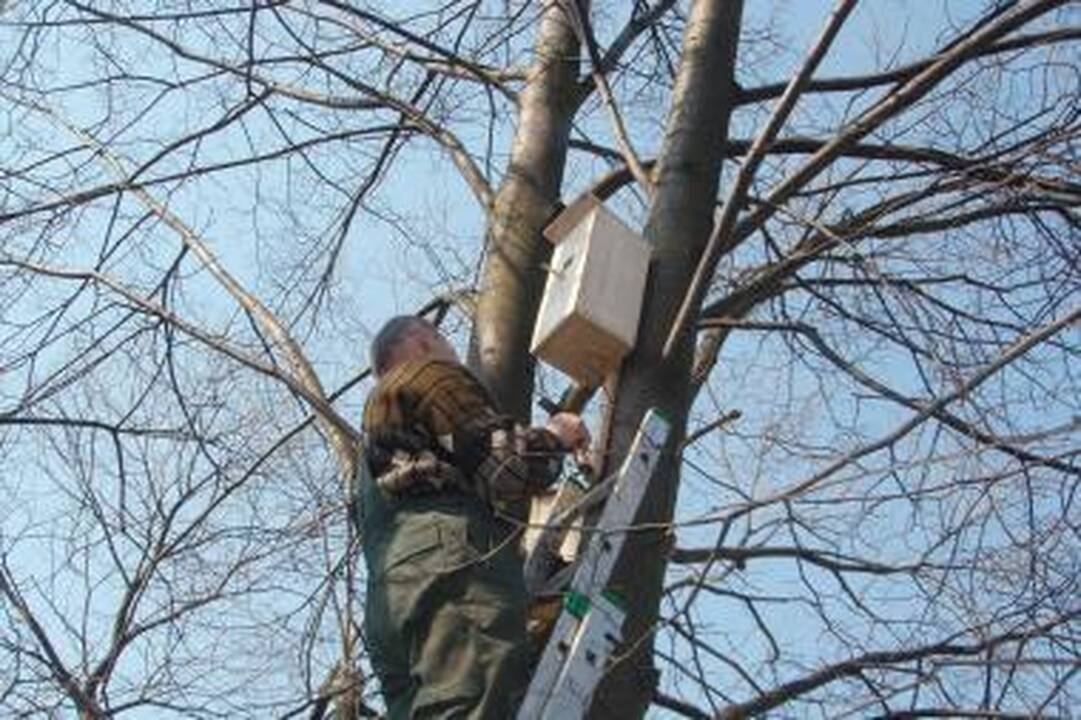 Orai: į Kauną atkeliauja šiltas ir gaivus pavasaris
