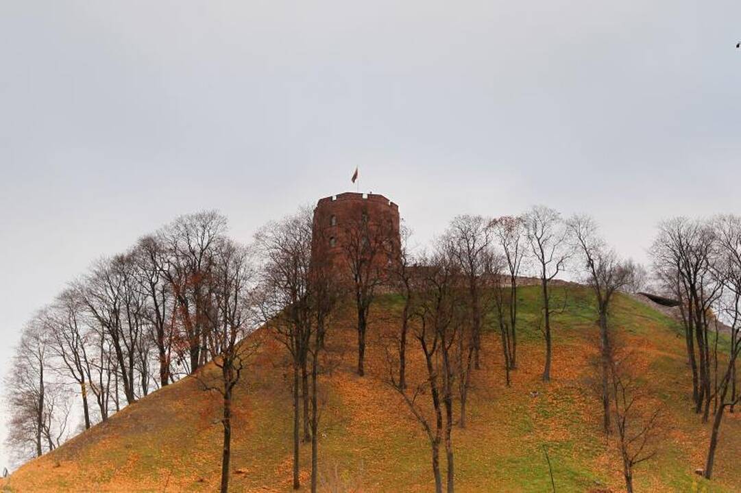 Turkui statyti dangoraižį trukdo Gedimino pilis