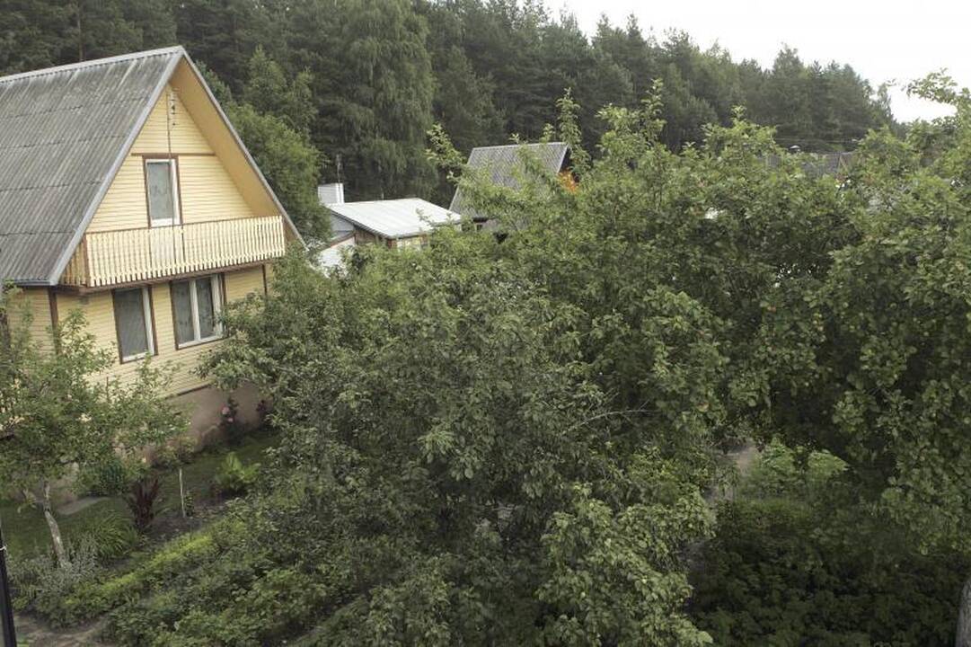 Į sodus persikėlę klaipėdiečiai neatsigina vagių