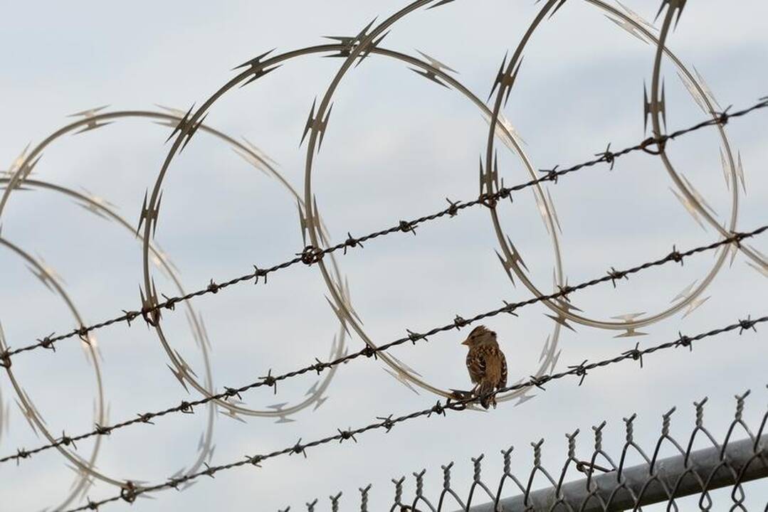 Marijampolės pataisos namuose vyko riaušės: sužeistas nuteistasis 