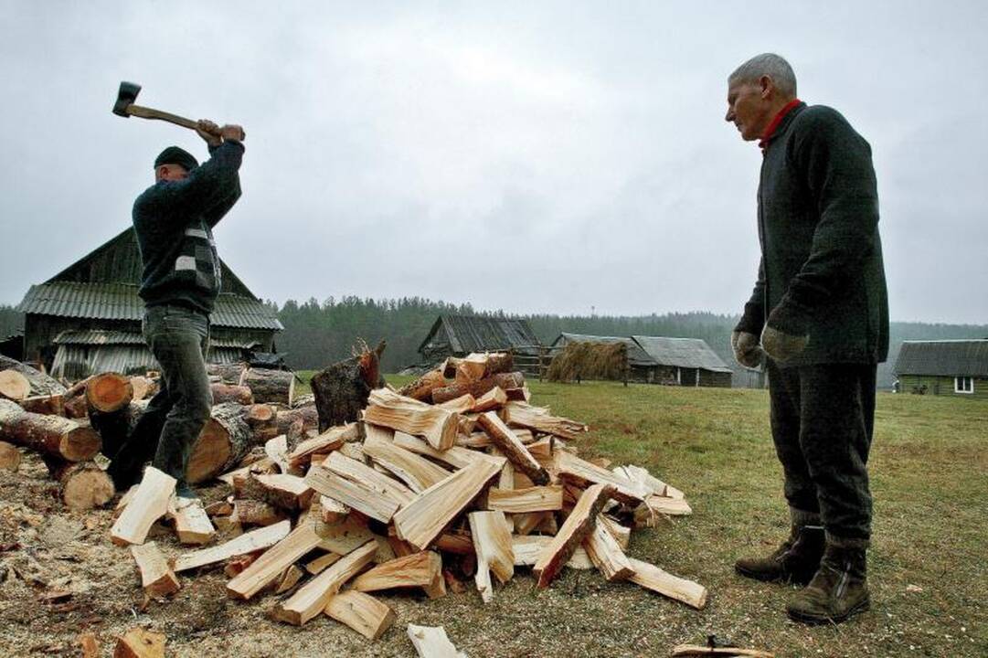 Malkos ir anglys šiemet uostamiestyje pigesnės nei pernai