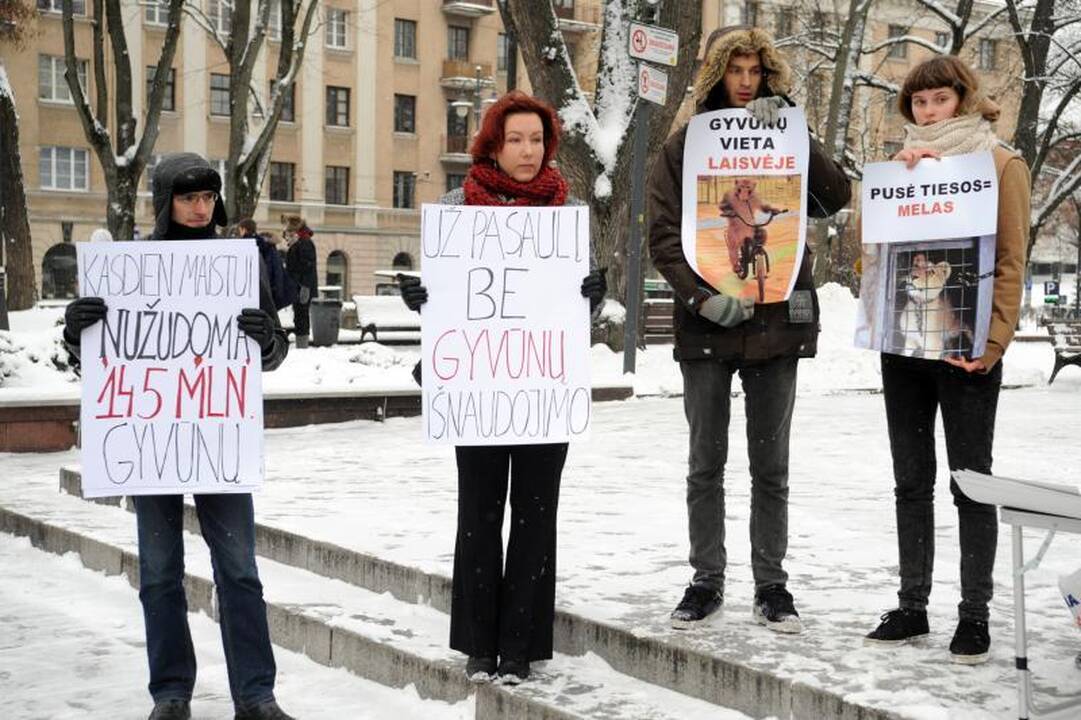 Gyvūnų teisių gynėjų renginyje - netikėtas akibrokštas su kirviu
