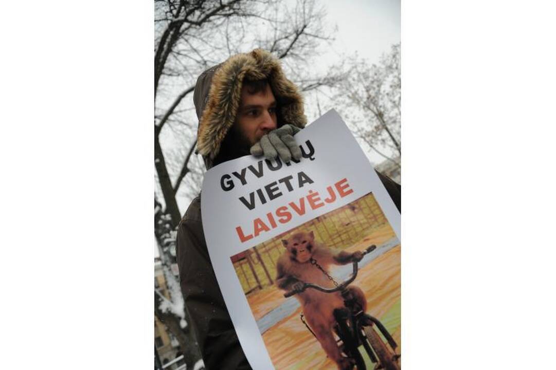 Gyvūnų teisių gynėjų renginyje - netikėtas akibrokštas su kirviu