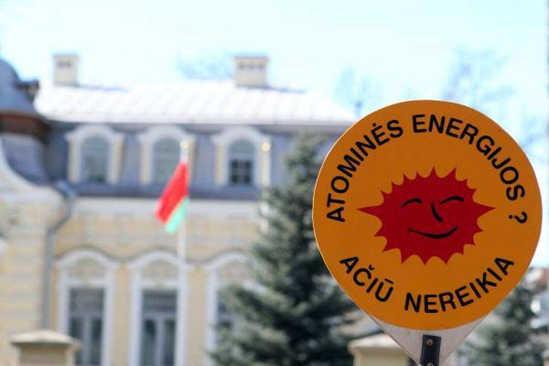 Atominė elektrinė pigiau už alternatyvius energijos šaltinius?