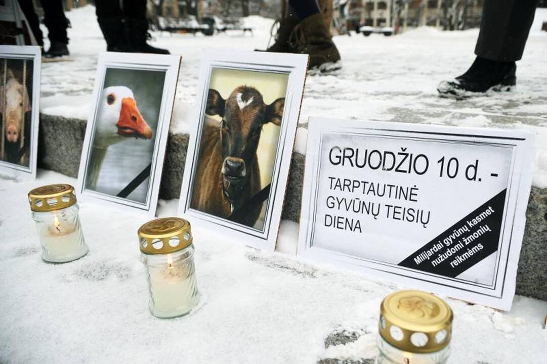 Gyvūnų teisių gynėjų renginyje - netikėtas akibrokštas su kirviu