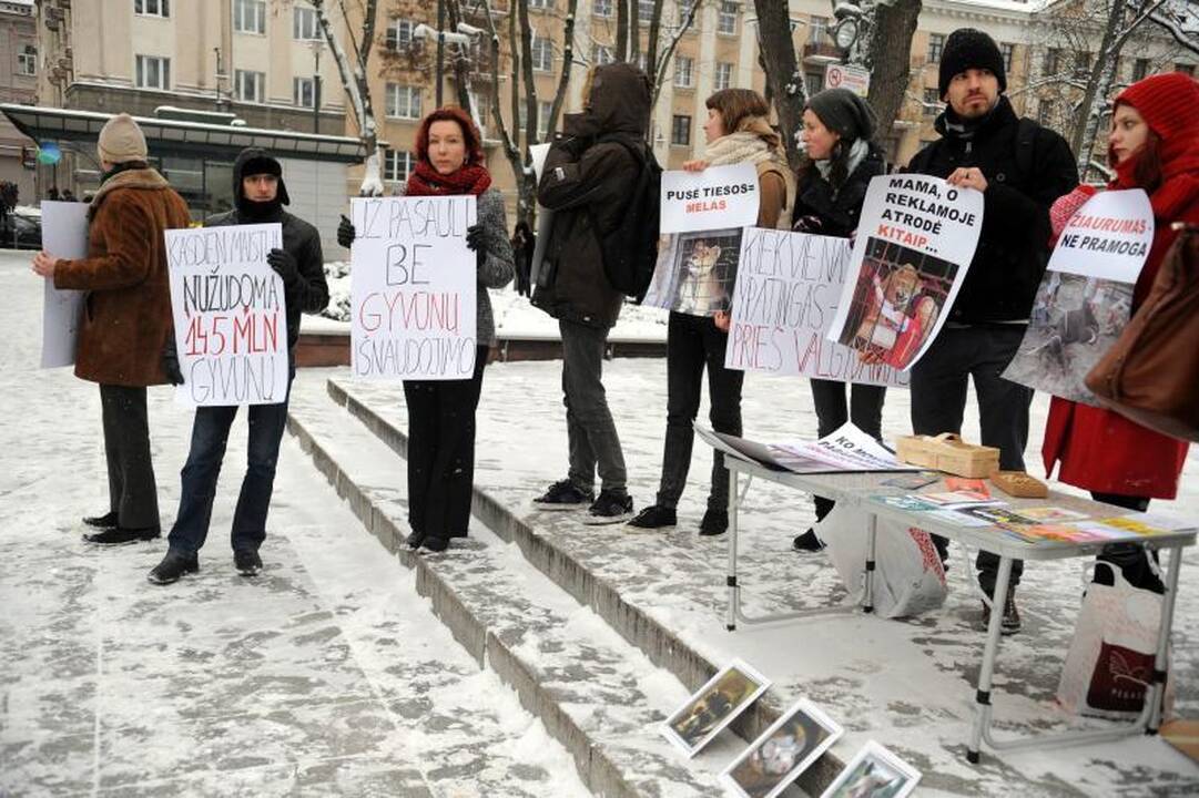 Gyvūnų teisių gynėjų renginyje - netikėtas akibrokštas su kirviu