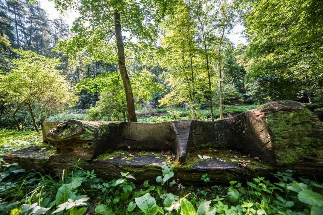 Užsieniečių žvilgsnis: Kaunas žavus, bet nušiuręs