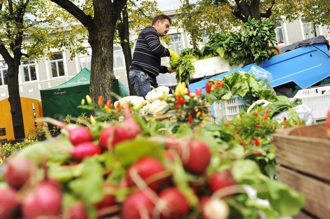 Rudens derliaus šventė: pirkėjai taupo šildymo sezonui