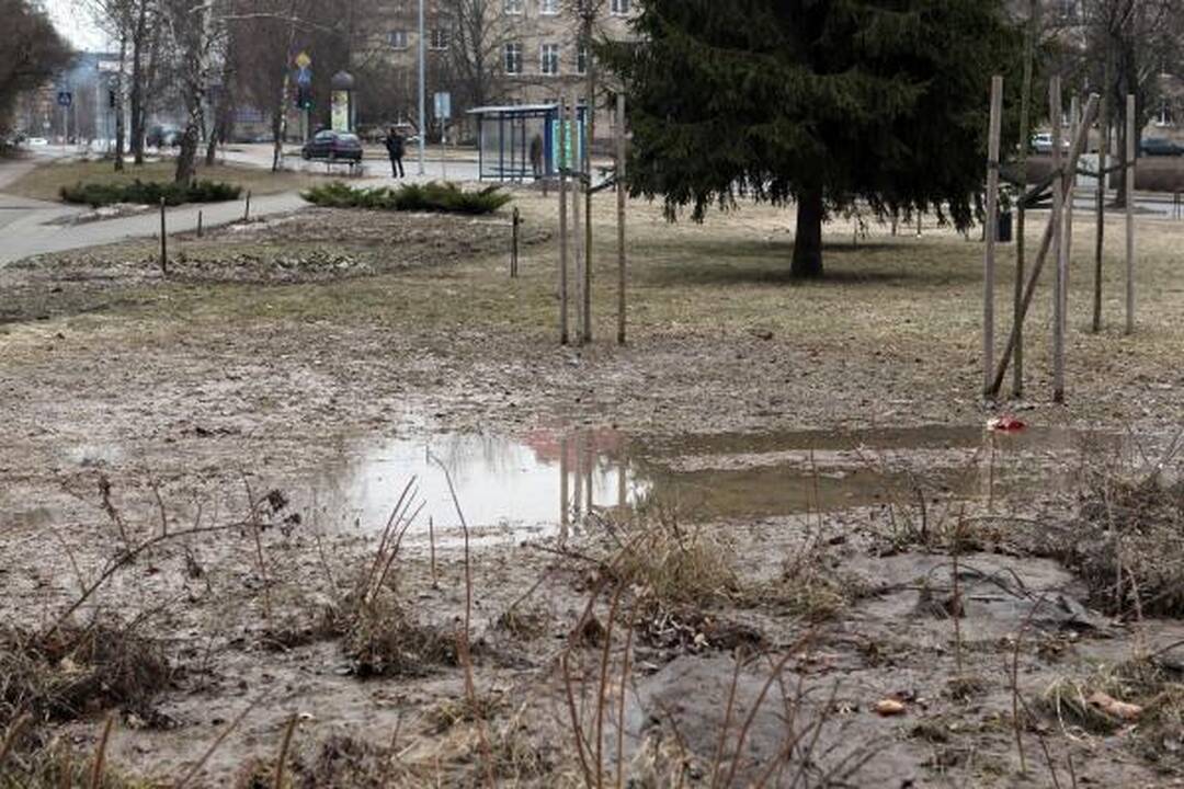 Žvėryne – kanalizacijos dvokas