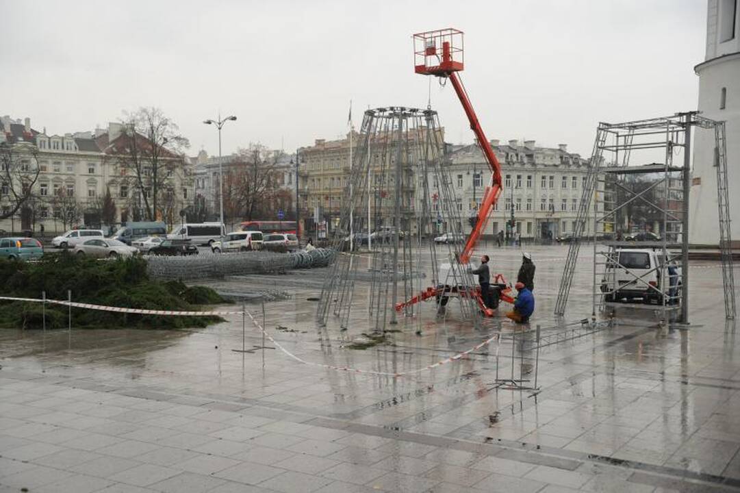 Vilniuje kyla aukščiausia Baltijos šalyse Kalėdų eglė (atnaujinta)