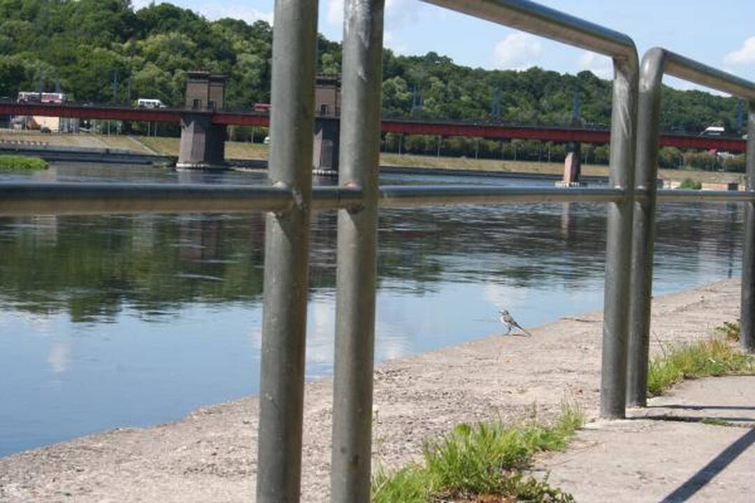 Kauno upės: jaukios krantinės, maži liepteliai ir jachtos