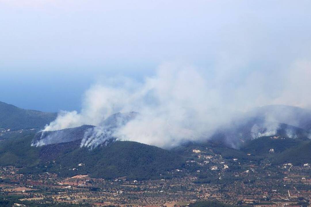 Ispanijos Ibisos saloje ugniagesiai kovoja su miško gaisru