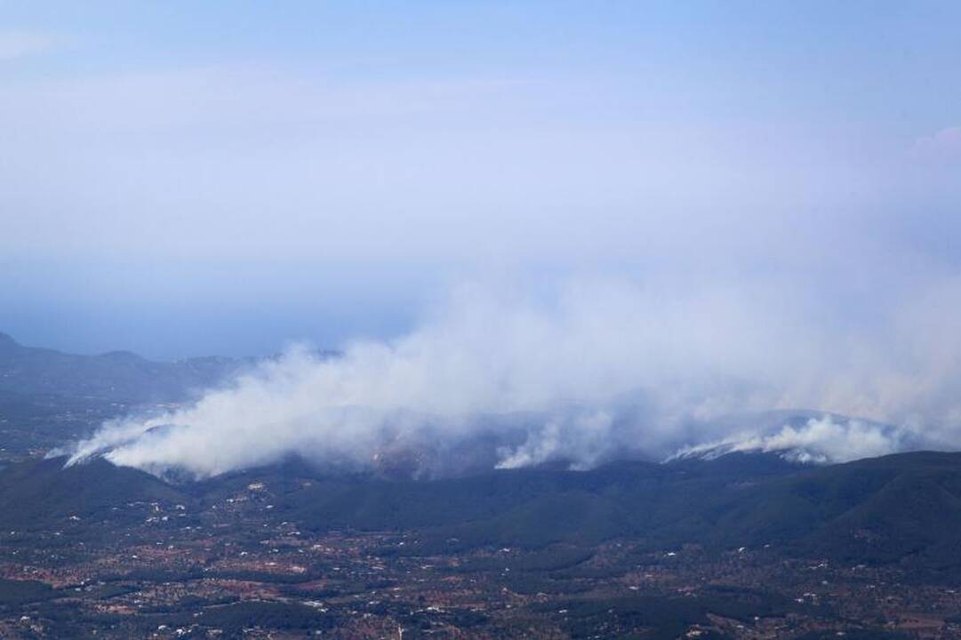 Ispanijos Ibisos saloje ugniagesiai kovoja su miško gaisru