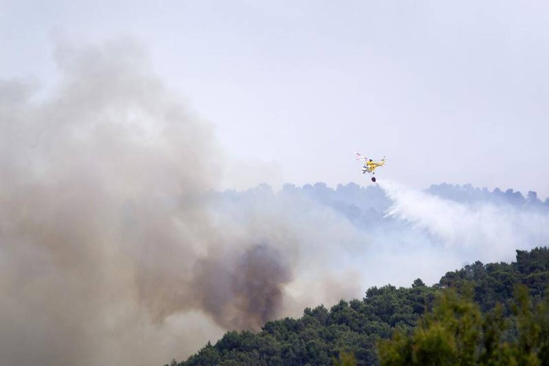 Ispanijos Ibisos saloje ugniagesiai kovoja su miško gaisru