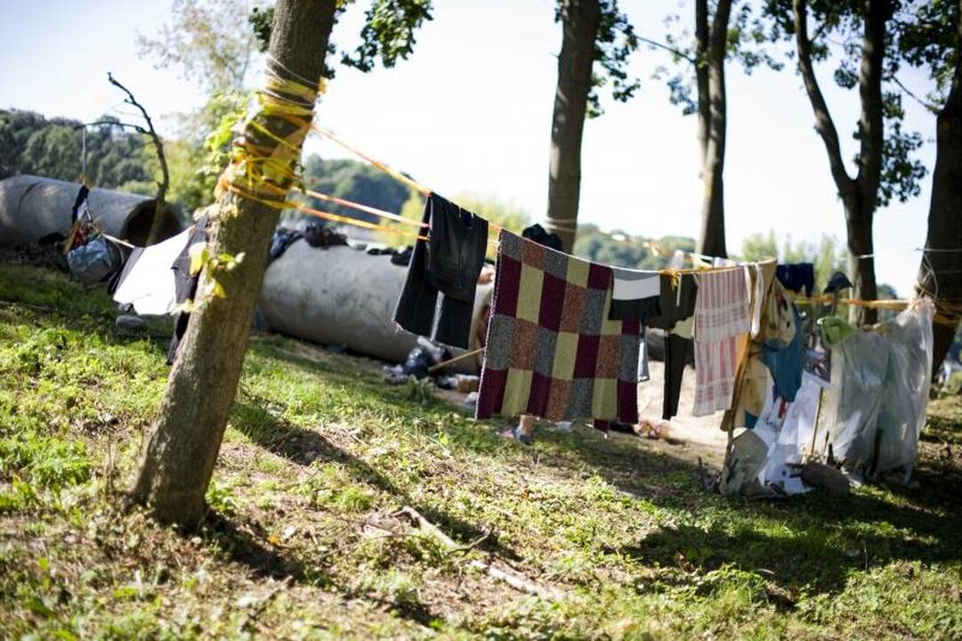Nemuno salą okupavę benamiai užsivijo žurnalistus