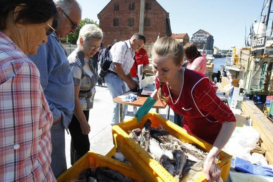 Klaipėdiečiai graibstė menkes