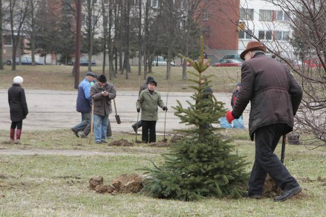 Klaipėdiečiai mieste pasodino medelių